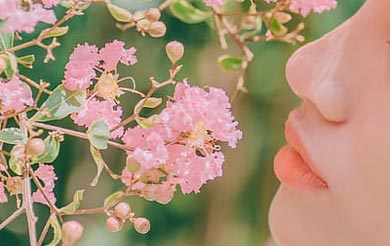 女生节是什么节 女生节女神节女王节有什么区别