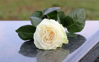 2021郑州清明节去哪里玩比较好 郑州清明时节踏青赏花好地方