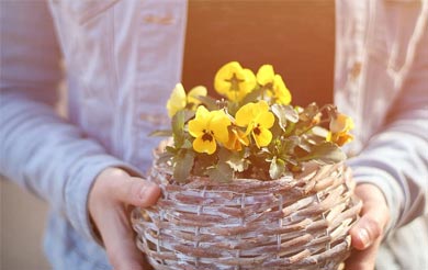 清明节是中国的传统节日 为什么会根据公立来确定日期