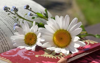 清明节哪一年定为法定假日 清明节什么时候成为我国法定假日